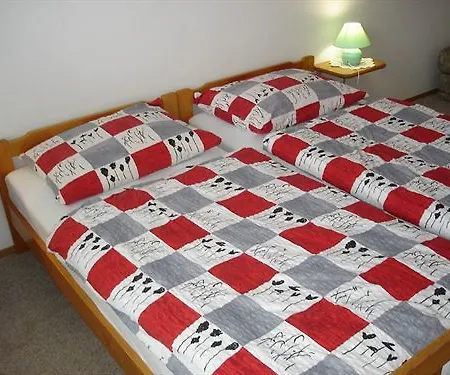 Apartmaji Vidic- *